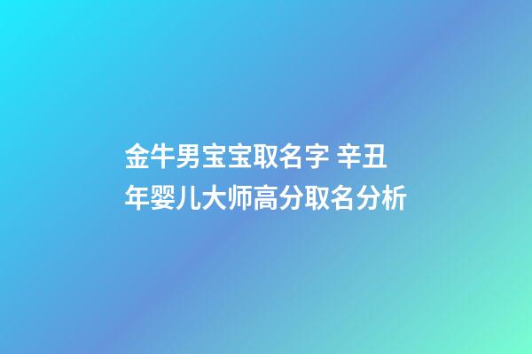 金牛男宝宝取名字 辛丑年婴儿大师高分取名分析